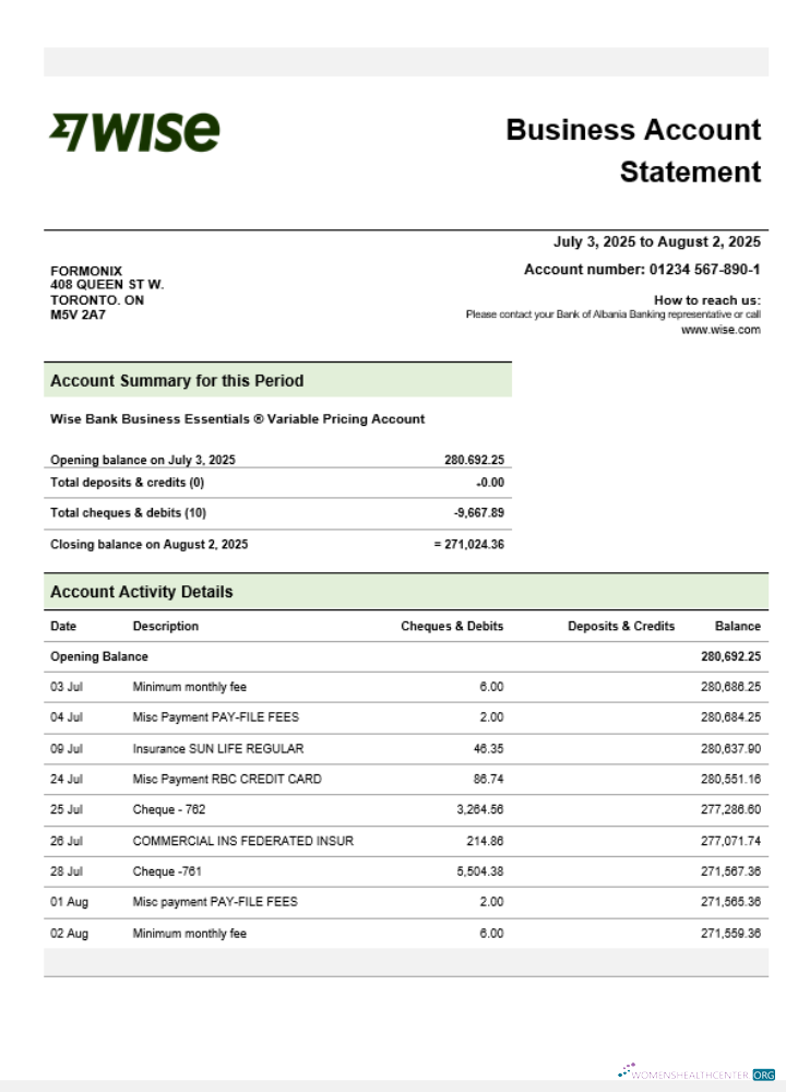 Download Wise company checking account statement Word and PDF template Photoshop template